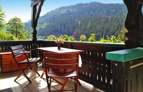 Ferienhaus Am Hermannsberg, Oberschoenau - Foto 56