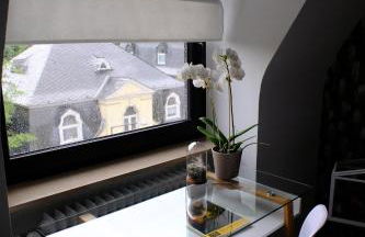 Domus Merian XII - Foto 19