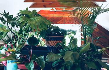 Urban Oasis in Hope Village - Foto 25