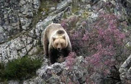 zentral club apartamento protón-jacuzzi - Foto 46