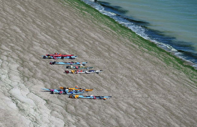 Kayak Tour and Sea Lion Sighting - Photo 6