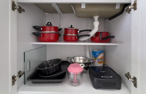 Ap Expo SP e Zoológico - Foto 64