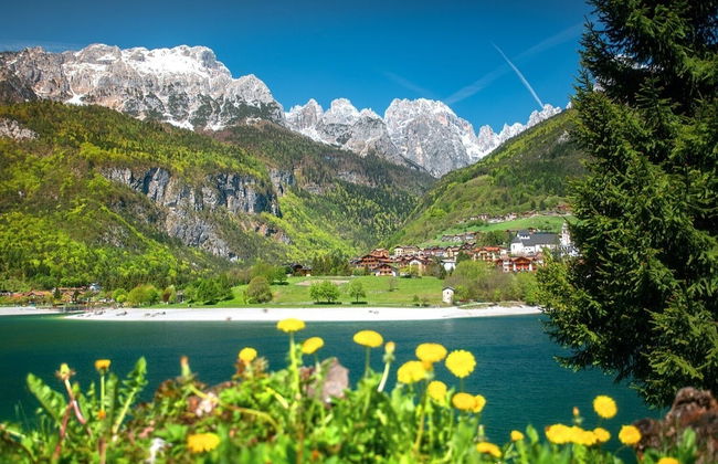 La Villa Dei Fiori - Photo 33