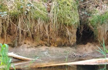 Leśna Chata kuracyjna nad rzeką z sauną w Borach Tucholskich - Foto 26