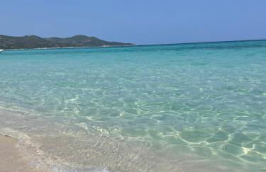 Superbe T2 avec grande terrasse et vue mer Résidence Isola Céleste - Foto 47