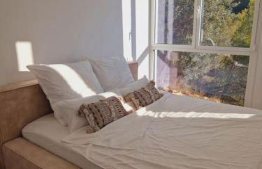 Noahs Paradise - Foto 9