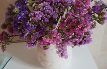 Monte das Flores Casa de Campo - Foto 44