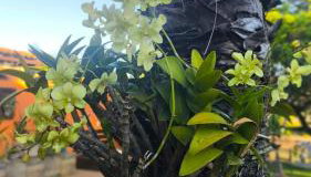 Búzios - Casa da Marina Navegável Rio de Janeiro Brazil - Foto 5