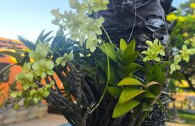 Búzios - Casa da Marina Navegável Rio de Janeiro Brazil - Foto 5