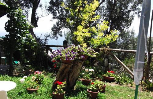 Le Mimose - Photo 25