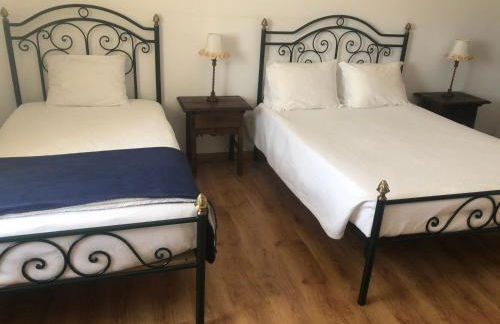 Monte das Palmeiras - Foto 8