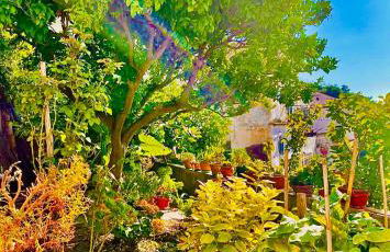 Borgo Virginia - Sea View in Amalfi Coast - Foto 27