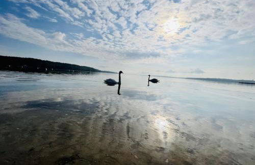 `Kapitänslounge` vollsanierte Fewo mit Blick auf die Flensburger Förde - Foto 19