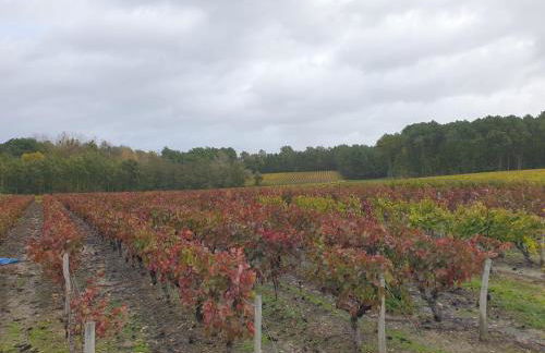 Spatieux, confort, reposant, gd jardin bucolique, jeux, balades, zoo, châteaux - Foto 30