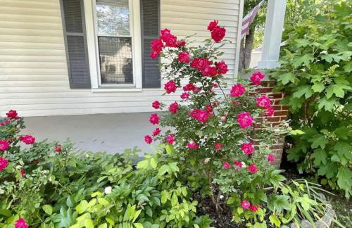 The Yellow Cottage By Tims Ford Lake - Foto 15