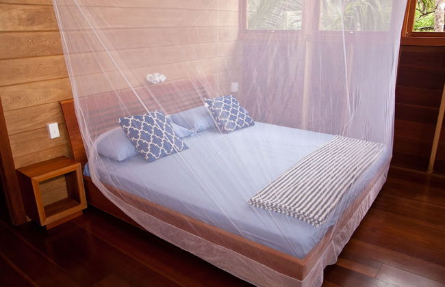 Residencia Natural - Photo 4