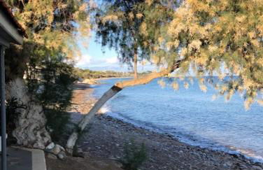 Villa Peony Koroni - Foto 37