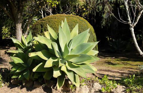 Casa Blanca - Foto 36