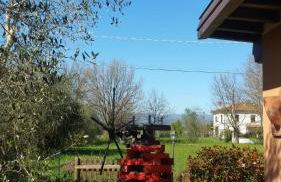 Ulivo Della Querce - Foto 5