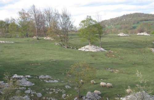 Apartments Sven - Foto 45