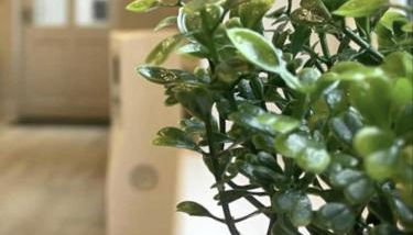 Moat View FREE PARKING, CENTRAL, EV PLUG - Foto 4