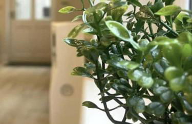 Moat View FREE PARKING, CENTRAL, EV PLUG - Foto 4