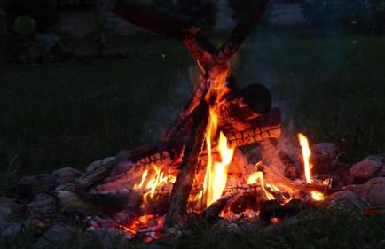 Amselgarten - Foto 66