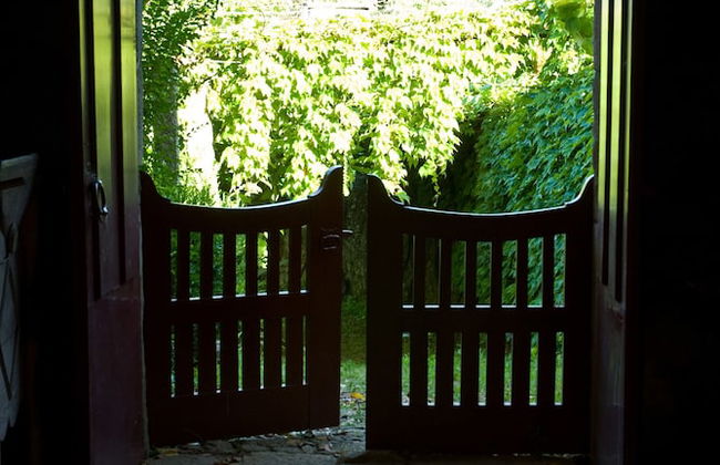 Quinta da Picaria - Foto 35