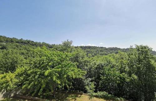 Appartement 2 ou 4 personnes. Venaco - Foto 8