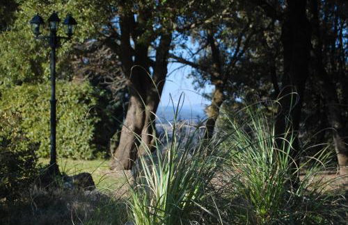 Agriturismo San Ansanino- Piscina con spiaggia-Aria condizionata - Foto 21