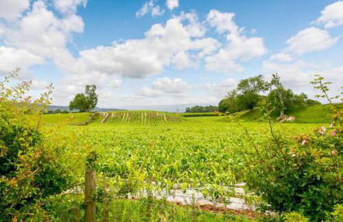 3 Bed in Yanwath 88212 - Foto 16