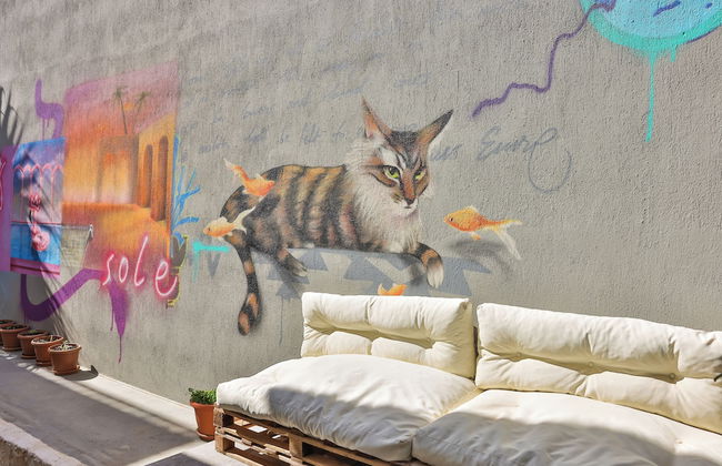 Sole Vista Homes - Foto 68