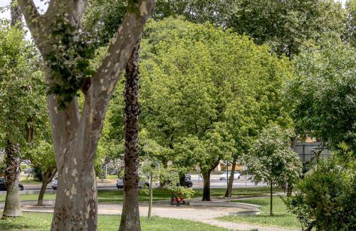 Seixal River Retreat - Foto 28