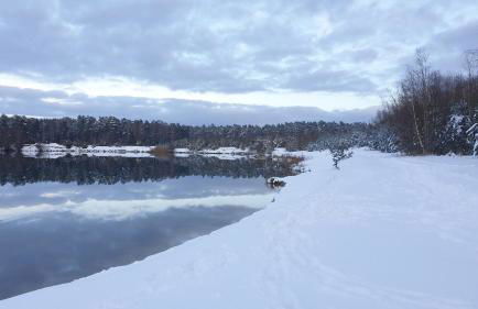 Ferienwohnung Ram - Photo 37