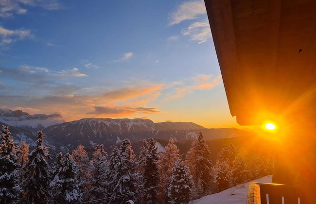 PLOSE Parkhotel & Residence - Foto 28