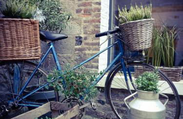 Gîte Quai N 10 - Foto 11