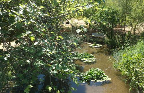 Le Fer en Cèze - Foto 27