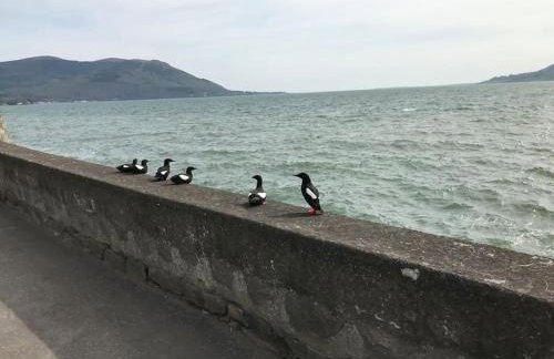 Warrenpoint Gate lodge - Photo 22