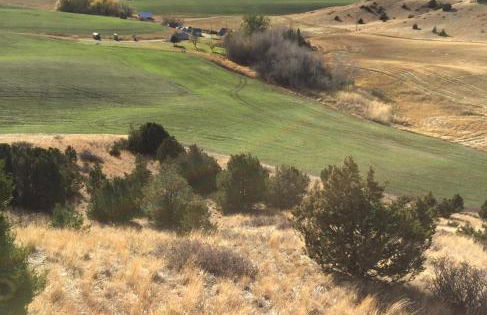 Theisen Vacation Home - Foto 40