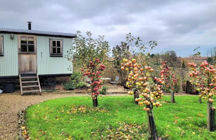 Plank Bridge Shepherds Hut in Orchard - Peaceful Escape for Two - Foto 19