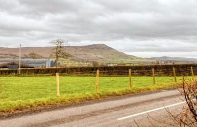 Branch cottage - Foto 7