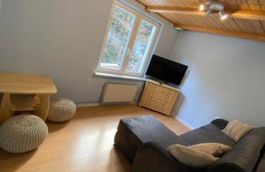 Beskidzka Apartments - Foto 17