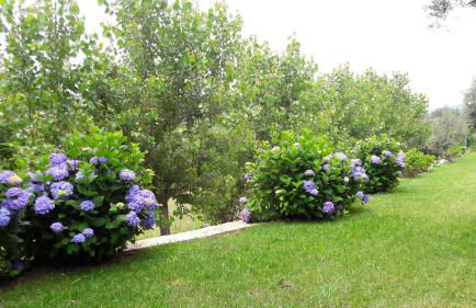 Charming House in Covelas with Pool and Mountain View - Foto 44