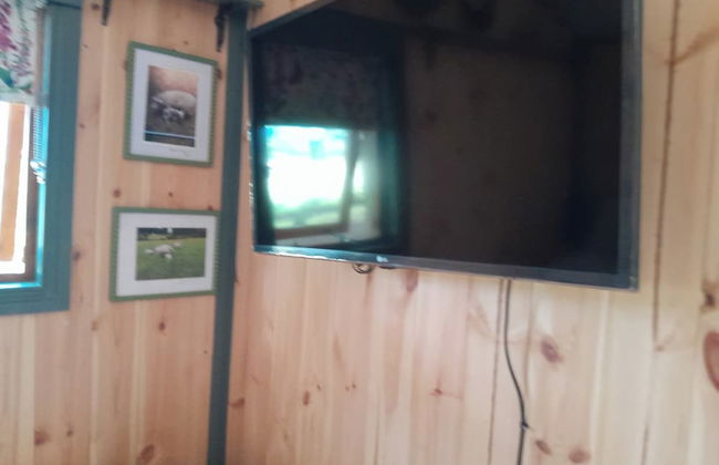 Little Greenwood Shepherd Hut - Sleeps 2 - Foto 5