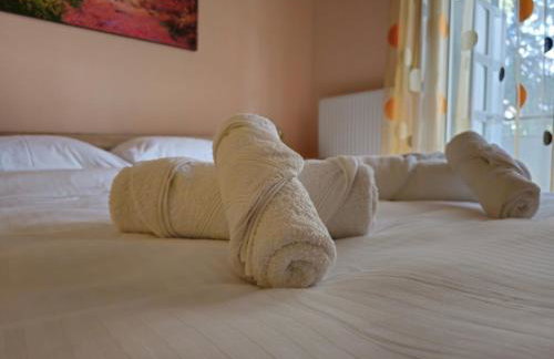 Pilea Comfy Home - Photo 25