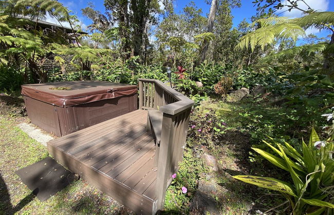 Volcano Rainforest Lodge - Foto 60