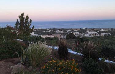 Villa Constantinos - Foto 28