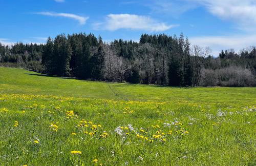 Ferienwohnung Hintermoos - Foto 53