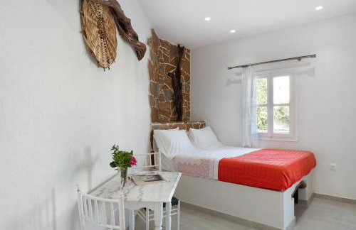 Politimis Studio N1 - Photo 2