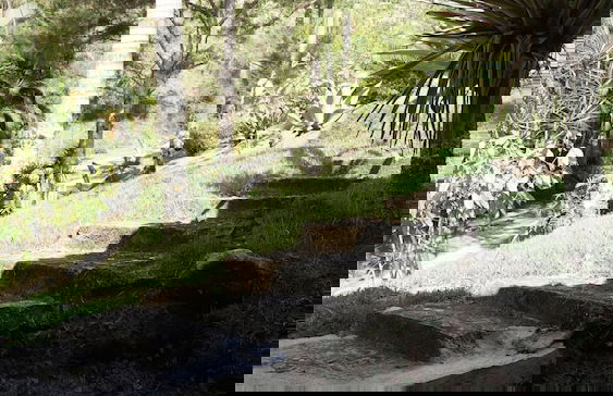 Fazenda Pedra Riscada - Foto 6